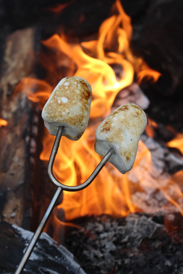 在篝火上烤自制的蜂蜜棉花糖
