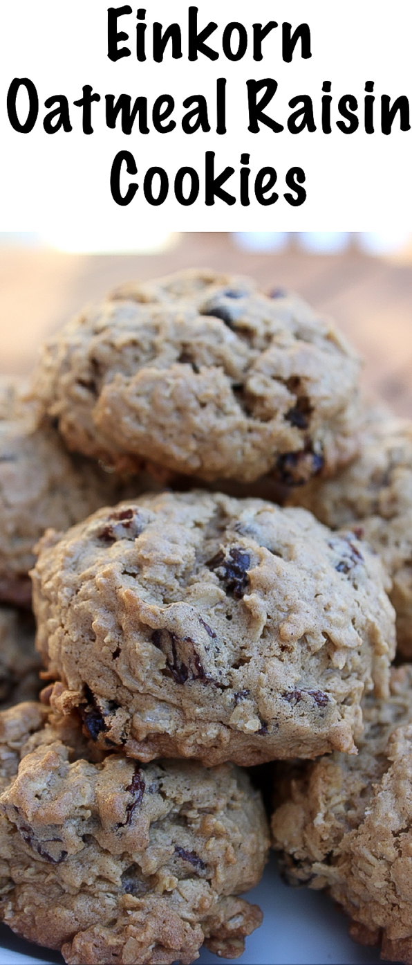 单粒小麦燕麦葡萄干饼干食谱# oatmealraisin # oatmealraisincookies # cookierecipe # bakingrecipe # einkornflour #单粒小麦